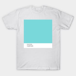 pantone 13-4810 TCX Limpet Shell T-Shirt